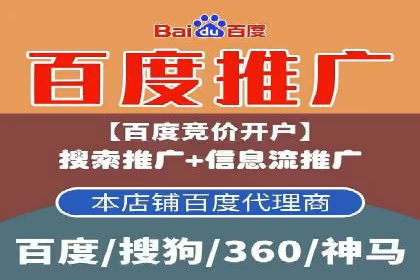 某品牌SEM推广策略的成效与启示